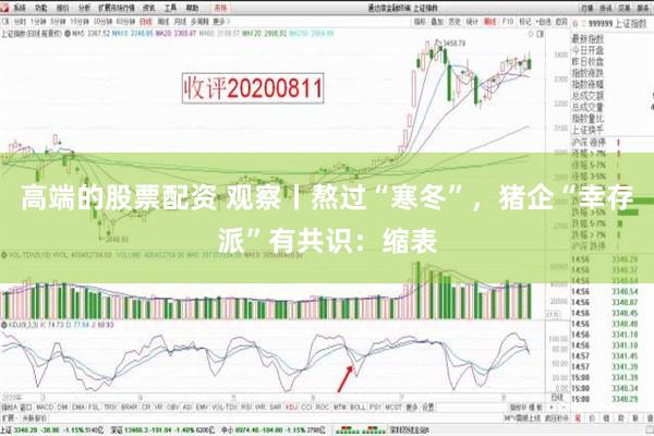 高端的股票配资 观察丨熬过“寒冬”，猪企“幸存派”有共识：缩表