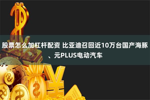 股票怎么加杠杆配资 比亚迪召回近10万台国产海豚、元PLUS电动汽车