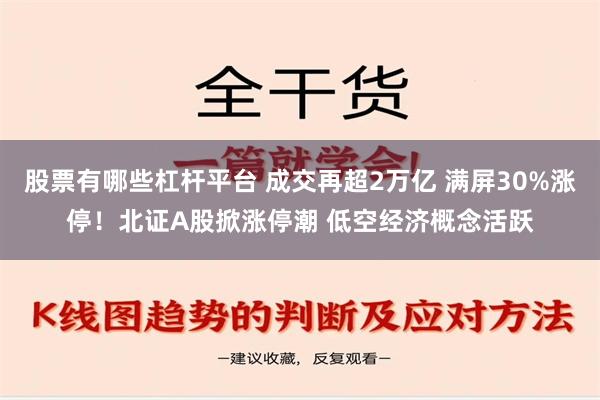 股票有哪些杠杆平台 成交再超2万亿 满屏30%涨停！北证A股掀涨停潮 低空经济概念活跃